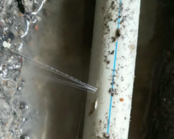 天全卫生间测漏水多少钱