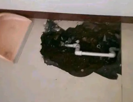 天全卫生间测漏水多少钱